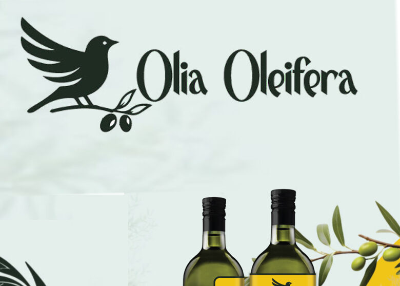 image de référence olia oleifera